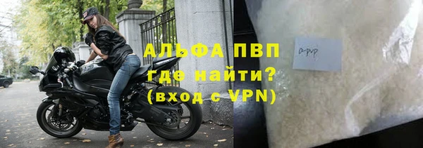 PSILOCYBIN Аркадак