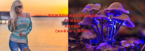PSILOCYBIN Аркадак