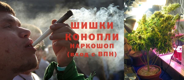 трава Арсеньев