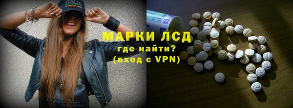PSILOCYBIN Аркадак