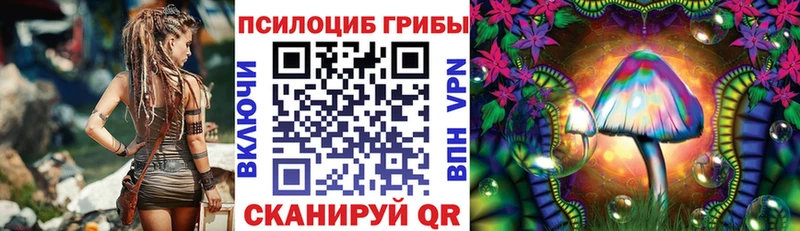 ОМГ ОМГ зеркало  Черногорск  Галлюциногенные грибы мухоморы 